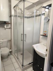 La salle de bains est pourvue d'une douche, de toilettes et d'un lavabo. dans l'établissement MAS de La Mer, à Saint Cyprien Plage