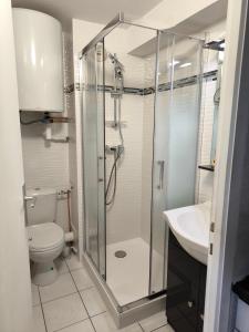 uma casa de banho com um chuveiro, um WC e um lavatório. em MAS de La Mer em Saint-Cyprien-Plage