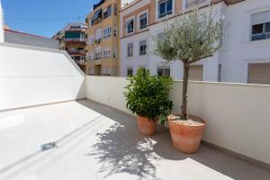 dos plantas en macetas sentadas en un balcón en Reina Victoria Velázquez, en Alicante