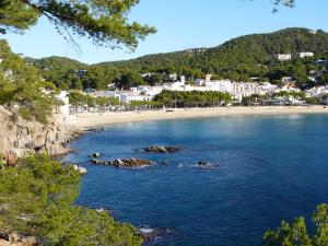 a view of a beach with buildings in the background at CORAL 14 in Llafranc