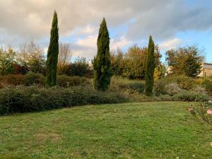 una fila de cipreses en un jardín en Gite de Groupe Aux Instants Partagés, en Fontenay-sur-Vègre