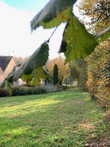 Fontenay-sur-VègreにあるGite de Groupe Aux Instants Partagésの庭木の葉縁