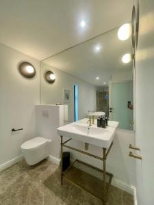 a bathroom with a sink and a toilet at Mountain Cottages at Haskell Vineyard in Stellenbosch