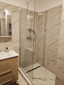 um chuveiro com porta de vidro em um banheiro em Nana Apartaments em Cluj-Napoca mais 6 fotografias