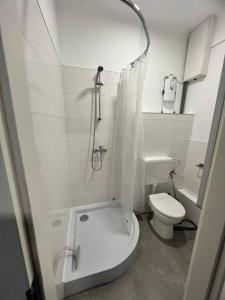 a white bathroom with a shower and a toilet at Neuwertiges Apartment mit schnellem WLAN, Glasfaser, Kostenlose Privatparkplatz auch für Transporter geeignet R25 in Freiberg am Neckar