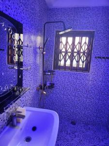 ein blaues Bad mit einem Waschbecken und einer Dusche in der Unterkunft C-VISION GUESTHOUSE 