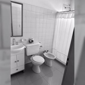 een badkamer met een toilet, een wastafel en een spiegel bij Zorzal Tempo in Esquel