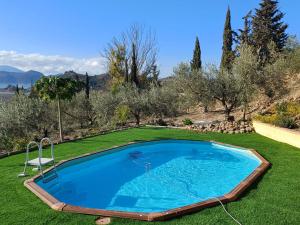 a large swimming pool in a yard with grass and trees at rural loft with pool views peaceful place near the center in Málaga