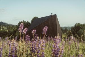 a barn in a field of purple flowers at Błogostan in Jodłów