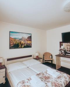 薩弗拉利的住宿－Willa & DOM-BLACH，一间卧室配有一张床、一张书桌和一台电视