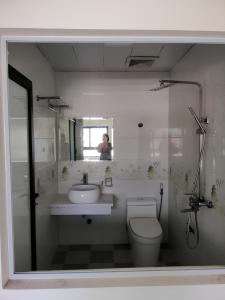 a bathroom with a sink and a toilet and a mirror at VIET HOUSE HẠ LONG HOTEL in Ha Long