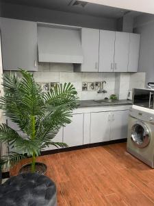 a kitchen with white cabinets and a plant in it at The Bahria Town Hotel & Suites in Lahore