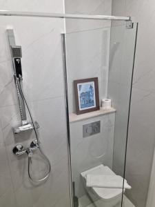 La salle de bains est pourvue d'une douche, de toilettes et d'une photo. dans l'établissement Studio Piața Mare, à Sibiu