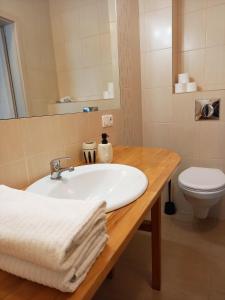 een badkamer met een wastafel en een toilet bij Villa AgaTomDom in Gdańsk