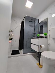 a bathroom with a shower and a sink and a toilet at Apartman Luxe Victoria in Zagreb