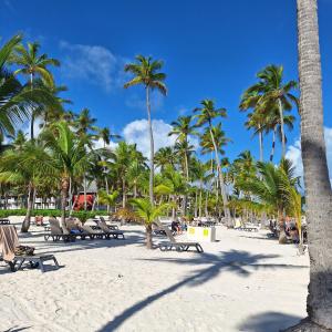 een zandstrand met palmbomen en ligstoelen bij New apartment excellent location in Bávaro, Punta Cana in Punta Cana