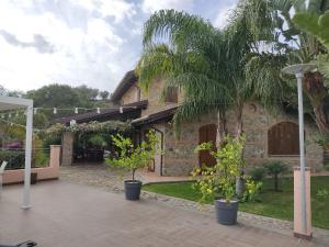 蒙泰保內的住宿－Villa Il Caruso，棕榈树房屋的庭院