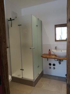 a bathroom with a glass shower and a sink at Hopfenalm in Ilmmünster