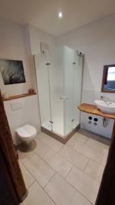 a bathroom with a toilet and a sink at Hopfenalm in Ilmmünster