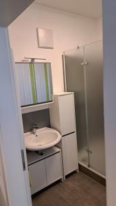 ein Bad mit einem Waschbecken und einer Dusche in der Unterkunft Black & White in Ilmmünster