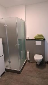 Ilmmünster的住宿－Black & White，一间带卫生间和玻璃淋浴间的浴室