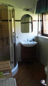 a bathroom with a sink and a shower at 11 Maków in Mielenko +26 photos