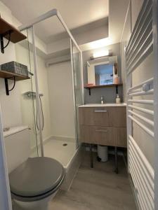 uma casa de banho com um chuveiro, um WC e um lavatório. em APPARTEMENT VUE PORT CROUESTY em Arzon