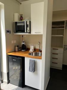 a small kitchen with a sink and a microwave at RIVERVIEW in Saint-Pierre
