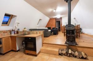 cocina y sala de estar con fogones en una habitación en Le Pradima en Mandailles