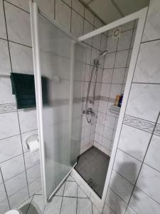 a shower with a glass door in a bathroom at Apartment Vuksa in Novi Sad