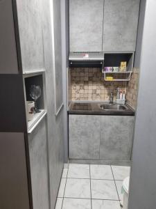 a small kitchen with a sink and a counter at Apartment Vuksa in Novi Sad