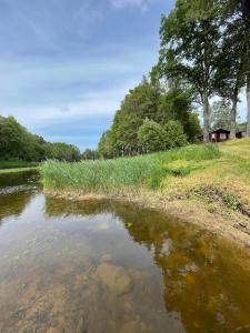 的住宿－Jõeallika kämping，一条有草的河,一座房子的背景