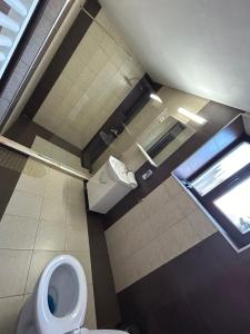 La salle de bains est pourvue de toilettes et d'une fenêtre. dans l'établissement Vila Lion, à Sebeş