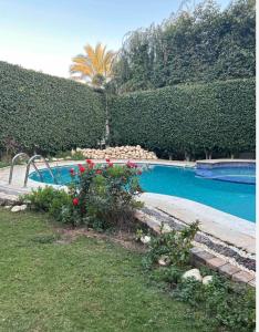 a swimming pool with flowers in a yard at Villa 141 in Sheikh Zayed