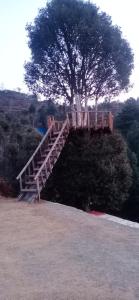 a wooden staircase on top of a tree at Ihram Hotel And Guest House in Swat