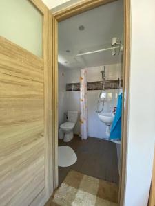 uma casa de banho com um WC e um lavatório em DarWik Domki Letniskowe em Bukowo Morskie