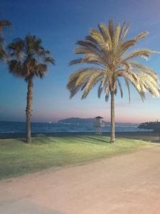 two palm trees on a beach near the ocean at Appartement avec vue sur baie de Malaga in Torre de Benagalbón