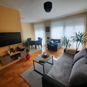 ein Wohnzimmer mit einem Sofa und einem Flachbild-TV in der Unterkunft Apartman JOVANA in Dušanovac (historical)