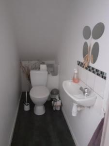 a bathroom with a toilet and a sink at Gite à la ferme du chateau in Saint-Dolay +25 photos