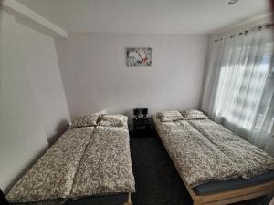 a bedroom with two beds in a room at Apartament Mickiewicza in Stronie Śląskie