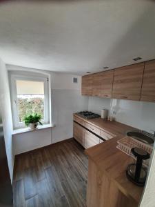 a kitchen with wooden cabinets and a window at Apartament Mickiewicza in Stronie Śląskie