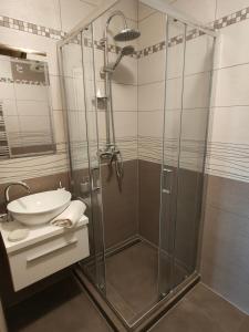 uma casa de banho com um chuveiro e um lavatório. em Apartamenty u Rysulów em Kościelisko