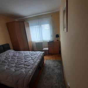 ein kleines Schlafzimmer mit einem Bett und einem Fenster in der Unterkunft Apartman JOVANA in Dušanovac (historical)