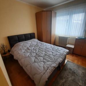 ein Schlafzimmer mit einem Bett und einem Schrank darin in der Unterkunft Apartman JOVANA in Dušanovac (historical)