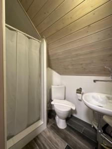 a bathroom with a toilet and a sink at Apartmány VESNA in Nova Ves nad Nisou