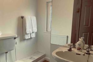 a bathroom with a sink and a toilet and a mirror at Wonderful Town House in Killarney