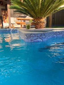 une piscine bleue avec un palmier en arrière-plan dans l'établissement Quarto Casal, Wi-Fi, Piscina, Praia, à Vila Velha