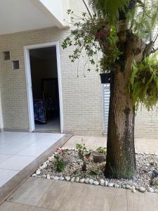 un arbre devant un bâtiment avec des rochers autour de lui dans l'établissement Quarto Casal, Wi-Fi, Piscina, Praia, à Vila Velha