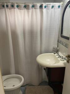 La salle de bains est pourvue d'un rideau de douche blanc et de toilettes. dans l'établissement Casa Pellegrini, à Posadas