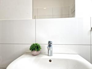 La salle de bains est pourvue d'un lavabo avec un robinet et une plante. dans l'établissement Meribu L92 Wohnung für Monteure und Arbeiter, à Essen